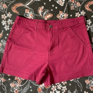 NWOT Patagonia Stand Up Shorts-10